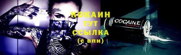 гидра Зеленодольск